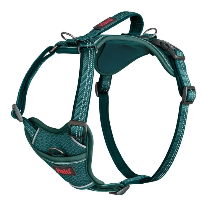 Dog Harness Company of Animals Turquoise L 42-65 cm - Домашни Животни<<<Дом Градина<<<BigBuy&&&Пътуване и