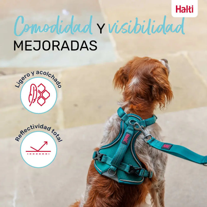 Dog Harness Company of Animals Turquoise M 35-55 cm - Домашни Животни<<<Дом Градина<<<BigBuy&&&Пътуване и