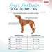 Dog Harness Company of Animals Turquoise XL 50-78 cm - Домашни Животни<<<Дом Градина<<<BigBuy&&&Пътуване и