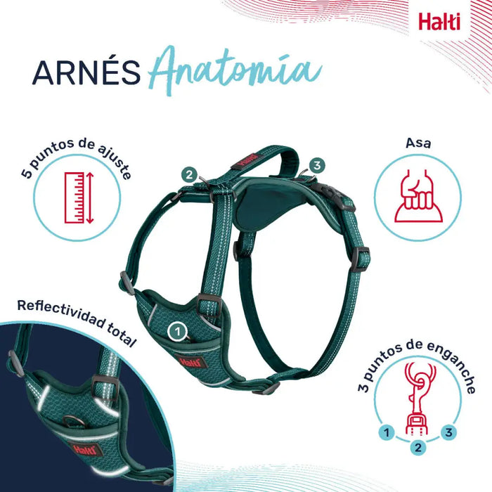 Dog Harness Company of Animals Turquoise XL 50-78 cm - Домашни Животни<<<Дом Градина<<<BigBuy&&&Пътуване и
