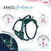 Dog Harness Company of Animals Turquoise XS 20-32 cm - Домашни Животни<<<Дом Градина<<<BigBuy&&&Пътуване и