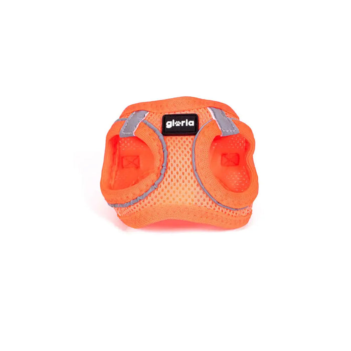 Dog Harness Gloria Trek Star 24-26 cm 28-28,6 cm Orange XXS - Домашни Животни<<<Дом Градина<<<BigBuy&&&Пътуване и