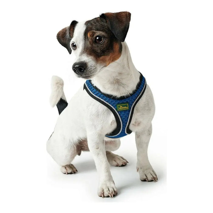 Dog Harness Hunter 35-37 cm Blue XS - Домашни Животни<<<Дом Градина<<<BigBuy&&&Пътуване и разходки<<<Домашни
