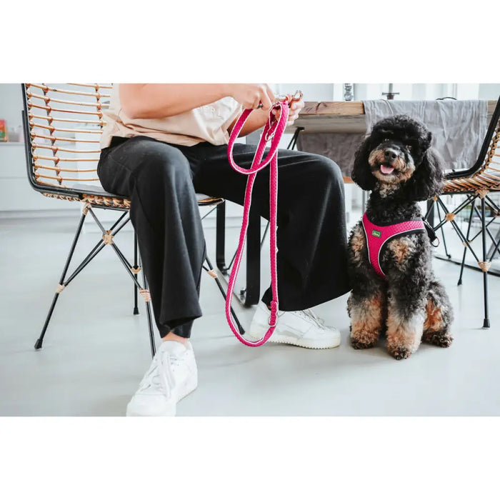 Dog Harness Hunter Comfort Fuchsia S/M 48-55 cm - Домашни Животни<<<Дом Градина<<<BigBuy&&&Пътуване и