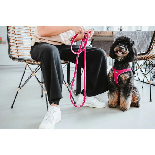 Dog Harness Hunter Comfort Fuchsia XS 35-37 cm - Домашни Животни<<<Дом Градина<<<BigBuy&&&Пътуване и разходки<<<Домашни