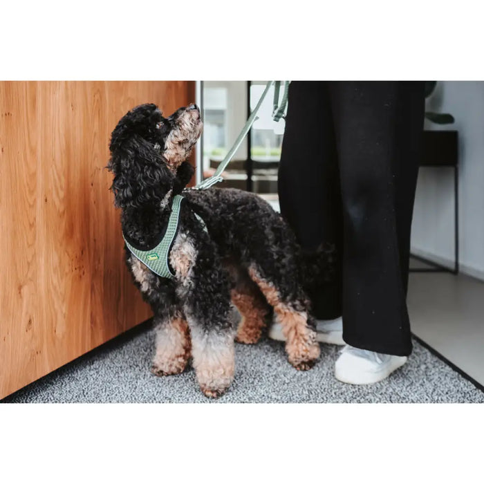 Dog Harness Hunter Comfort Green M/L 58-63 cm - Домашни Животни<<<Дом Градина<<<BigBuy&&&Пътуване и разходки<<<Домашни