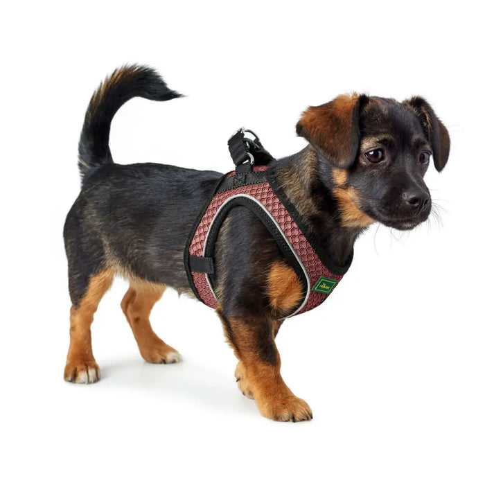 Dog Harness Hunter Comfort Pink S/M 48-55 cm - Домашни Животни<<<Дом Градина<<<BigBuy&&&Пътуване и разходки<<<Домашни