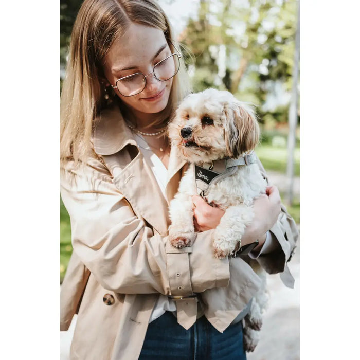 Dog Harness Hunter DIVO UP Beige L/XL - Домашни Животни<<<Дом Градина<<<BigBuy&&&Пътуване и разходки<<<Домашни