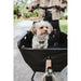 Dog Harness Hunter DIVO UP Beige S - Домашни Животни<<<Дом Градина<<<BigBuy&&&Пътуване и разходки<<<Домашни