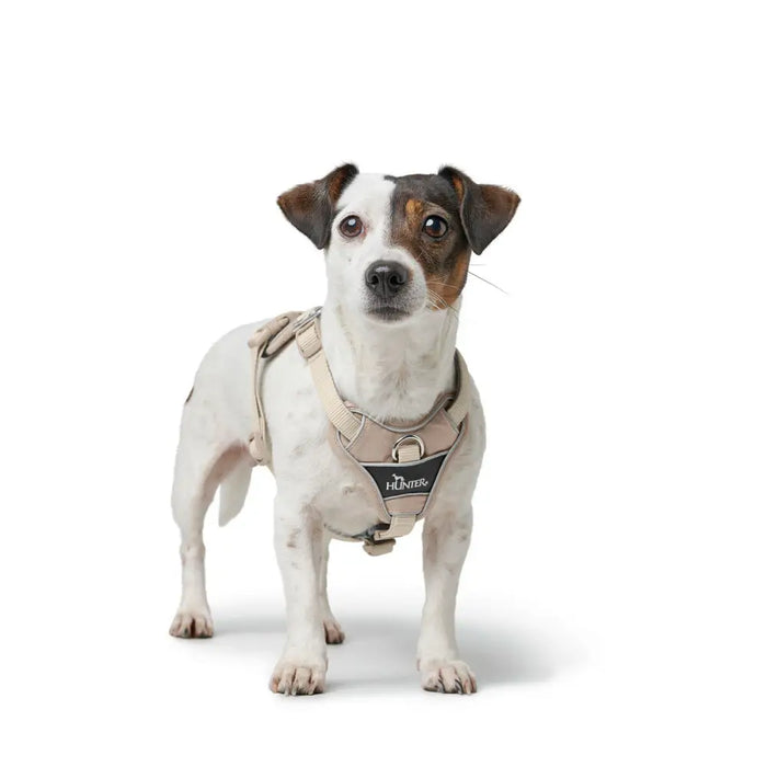 Dog Harness Hunter DIVO UP Beige S - Домашни Животни<<<Дом Градина<<<BigBuy&&&Пътуване и разходки<<<Домашни