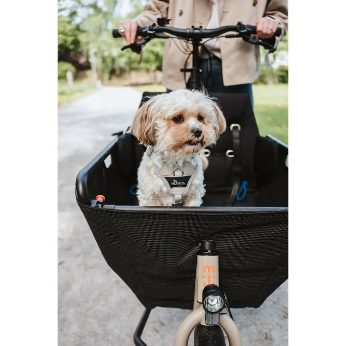 Dog Harness Hunter DIVO UP Beige XS - Домашни Животни<<<Дом Градина<<<BigBuy&&&Пътуване и разходки<<<Домашни