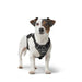 Dog Harness Hunter DIVO UP Black L/XL - Домашни Животни<<<Дом Градина<<<BigBuy&&&Пътуване и разходки<<<Домашни