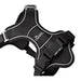 Dog Harness Hunter DIVO UP Black XS - Домашни Животни<<<Дом Градина<<<BigBuy&&&Пътуване и разходки<<<Домашни
