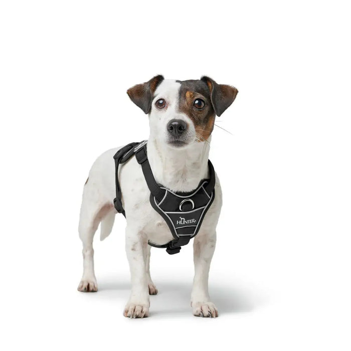 Dog Harness Hunter DIVO UP Black XS - Домашни Животни<<<Дом Градина<<<BigBuy&&&Пътуване и разходки<<<Домашни