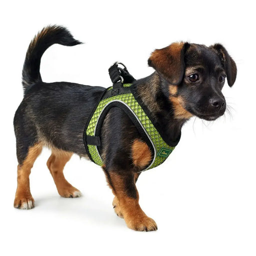 Dog Harness Hunter Hilo-Comfort Lime S/M (48-55 cm) - Домашни Животни<<<Дом Градина<<<BigBuy&&&Пътуване и