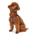 Dog Harness Hunter Hilo-Comfort Red XS size (35-37 cm) - Домашни Животни<<<Дом Градина<<<BigBuy&&&Пътуване и