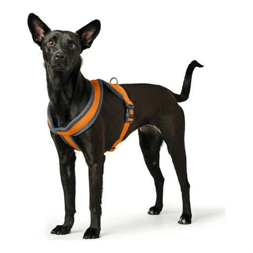 Dog Harness Hunter London Comfort 39-47 cm Orange XS/S - Домашни Животни<<<Дом Градина<<<BigBuy&&&Пътуване и