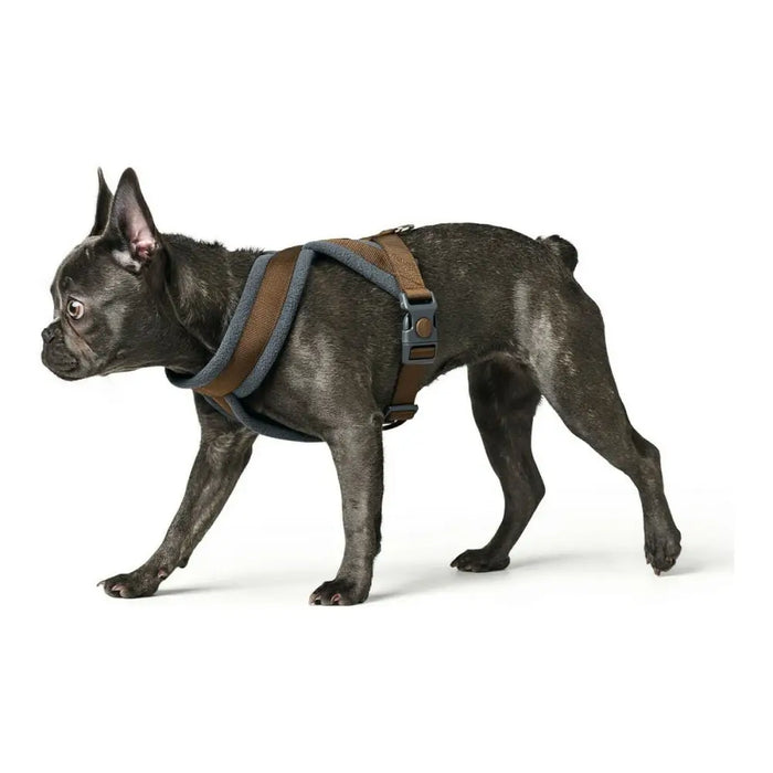 Dog Harness Hunter London Comfort 52-62 cm Brown Size S/M - Домашни Животни<<<Дом Градина<<<BigBuy&&&Пътуване и