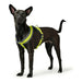 Dog Harness Hunter London Comfort XS-S 39-47 cm Lime - Домашни Животни<<<Дом Градина<<<BigBuy&&&Пътуване и