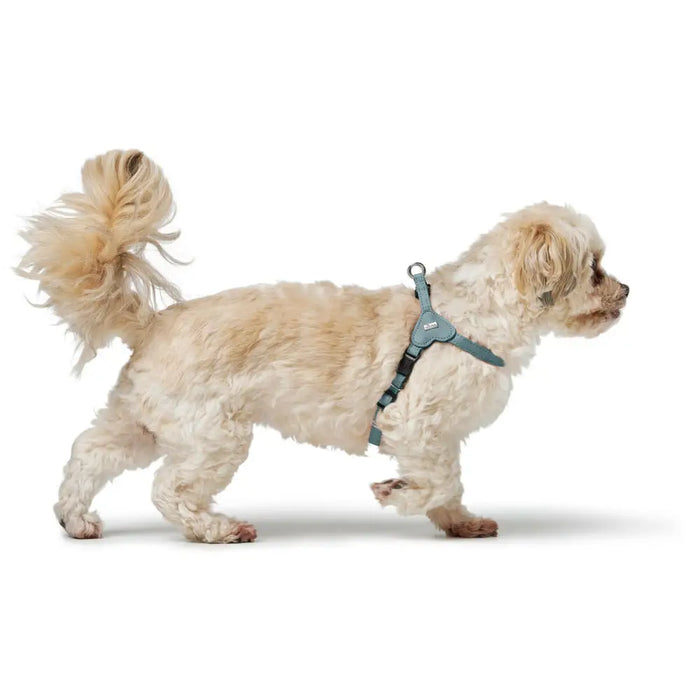 Dog Harness Hunter SOHO MINI Blue XS - Домашни Животни<<<Дом Градина<<<BigBuy&&&Пътуване и разходки<<<Домашни