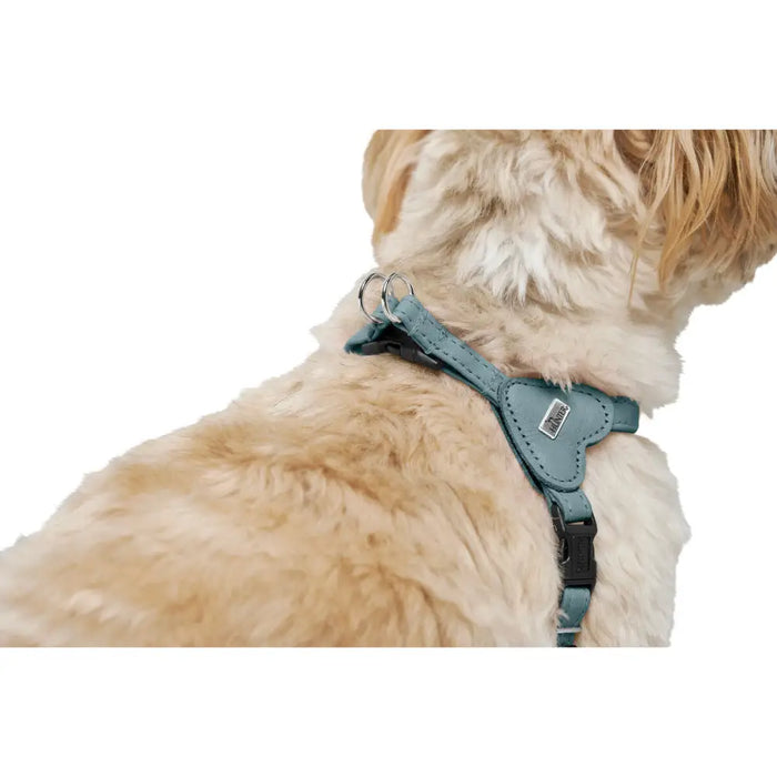 Dog Harness Hunter SOHO MINI Blue XS - Домашни Животни<<<Дом Градина<<<BigBuy&&&Пътуване и разходки<<<Домашни