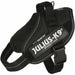 Dog Harness Julius K9 IDC Black M - Домашни Животни<<<Дом Градина<<<BigBuy&&&Пътуване и разходки<<<Домашни