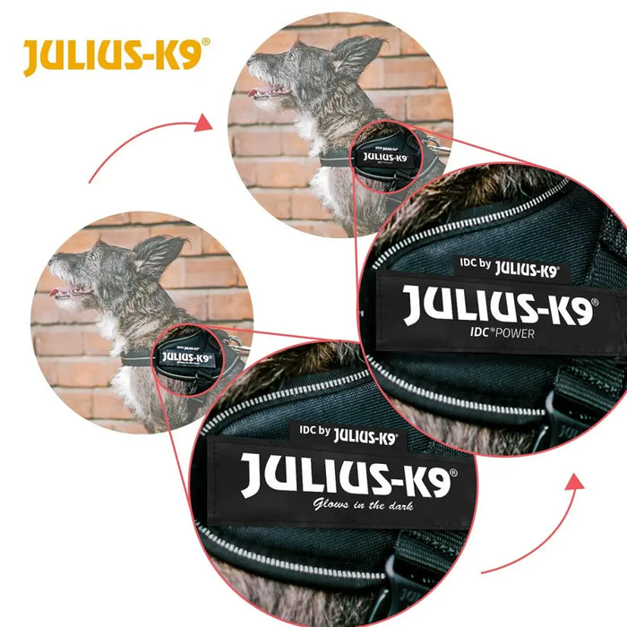 Dog Harness Julius K9 IDC Black M - Домашни Животни<<<Дом Градина<<<BigBuy&&&Пътуване и разходки<<<Домашни
