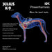 Dog Harness Julius K9 IDC Cowboy 2 Baby 2 (XS/S) - Домашни Животни<<<Дом Градина<<<BigBuy&&&Пътуване и
