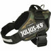 Dog Harness Julius K9 IDC L 1 - Домашни Животни<<<Дом Градина<<<BigBuy&&&Пътуване и разходки<<<Домашни Животни<<<Дом
