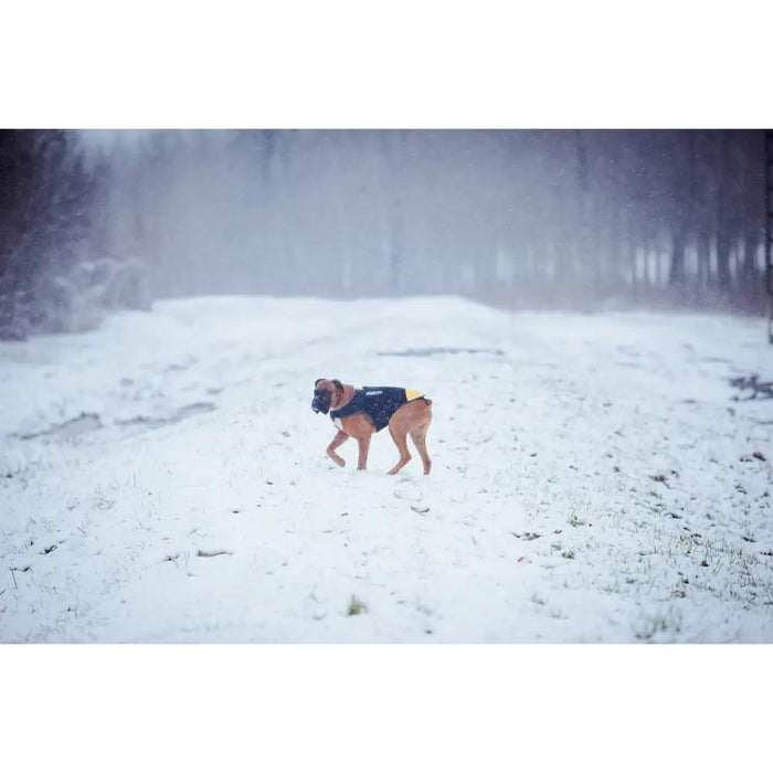 Dog Harness Julius K9 IDC L/XL 2 - Домашни Животни<<<Дом Градина<<<BigBuy&&&Пътуване и разходки<<<Домашни Животни<<<Дом
