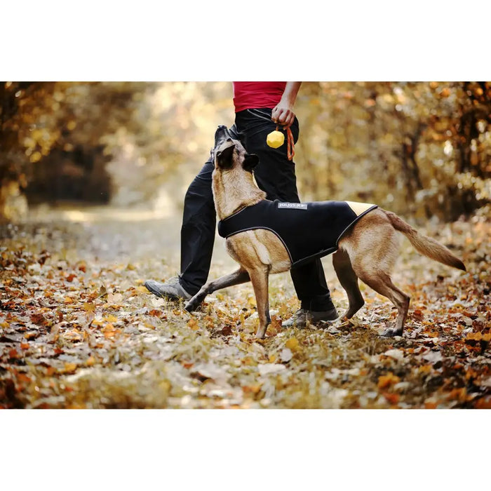 Dog Harness Julius K9 IDC L/XL 2 - Домашни Животни<<<Дом Градина<<<BigBuy&&&Пътуване и разходки<<<Домашни Животни<<<Дом