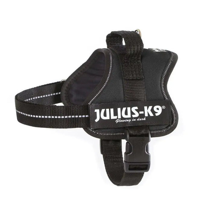 Dog Harness Julius K9 Power Black M - Пътуване и разходки<<<Домашни Животни<<<Дом Градина<<<BigBuy