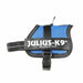 Dog Harness Julius K9 Power Blue 2 Baby 2 (XS/S) - Пътуване и разходки<<<Домашни Животни<<<Дом Градина<<<BigBuy