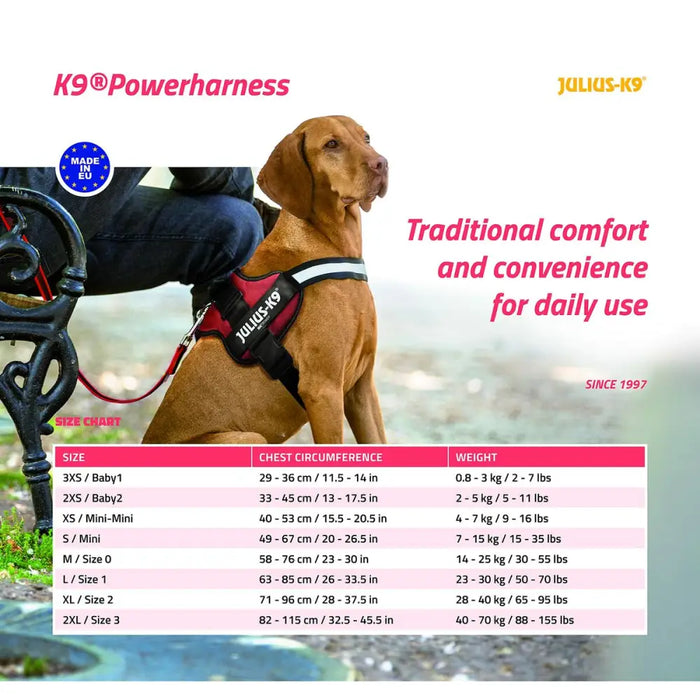 Dog Harness Julius K9 Power Blue 2 Baby 2 (XS/S) - Пътуване и разходки<<<Домашни Животни<<<Дом Градина<<<BigBuy