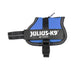 Dog Harness Julius K9 Power Blue 2 Baby 2 (XS/S) - Пътуване и разходки<<<Домашни Животни<<<Дом Градина<<<BigBuy