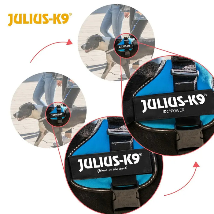 Dog Harness Julius K9 Power Blue 2 Baby 2 (XS/S) - Пътуване и разходки<<<Домашни Животни<<<Дом Градина<<<BigBuy