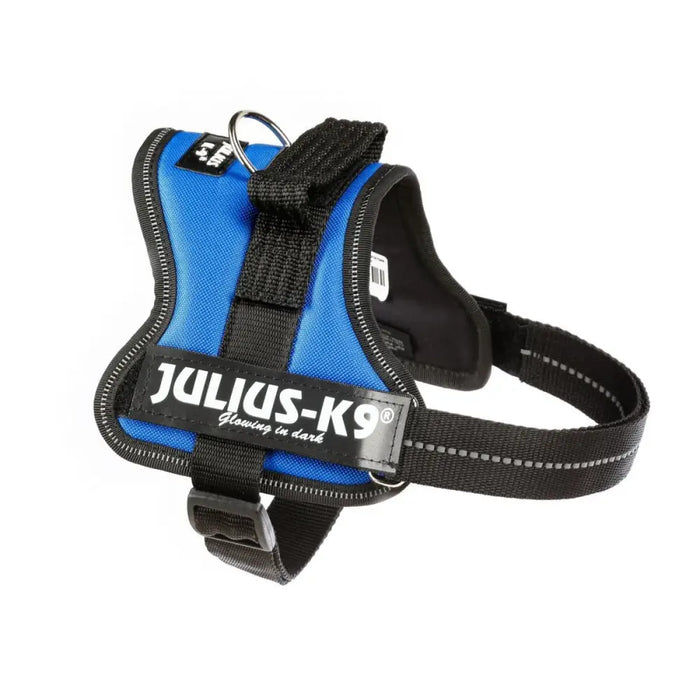 Dog Harness Julius K9 Power Blue M - Пътуване и разходки<<<Домашни Животни<<<Дом Градина<<<BigBuy