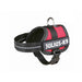 Dog Harness Julius K9 Power Red 1 Baby 1 (XS) - Домашни Животни<<<Дом Градина<<<BigBuy&&&Пътуване и разходки<<<Домашни