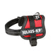 Dog Harness Julius K9 Power Red 1 Baby 1 (XS) - Домашни Животни<<<Дом Градина<<<BigBuy&&&Пътуване и разходки<<<Домашни
