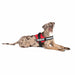Dog Harness Julius K9 Power Red L/XL 2 - Домашни Животни<<<Дом Градина<<<BigBuy&&&Пътуване и разходки<<<Домашни
