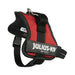 Dog Harness Julius K9 Power Red M - Домашни Животни<<<Дом Градина<<<BigBuy&&&Пътуване и разходки<<<Домашни