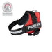 Dog Harness Julius K9 Power Red M - Домашни Животни<<<Дом Градина<<<BigBuy&&&Пътуване и разходки<<<Домашни