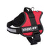 Dog Harness Julius K9 Power Red M/L - Пътуване и разходки<<<Домашни Животни<<<Дом Градина<<<BigBuy