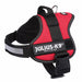 Dog Harness Julius K9 Power Red M/L - Пътуване и разходки<<<Домашни Животни<<<Дом Градина<<<BigBuy