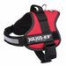 Dog Harness Julius K9 Power Red M/L - Пътуване и разходки<<<Домашни Животни<<<Дом Градина<<<BigBuy