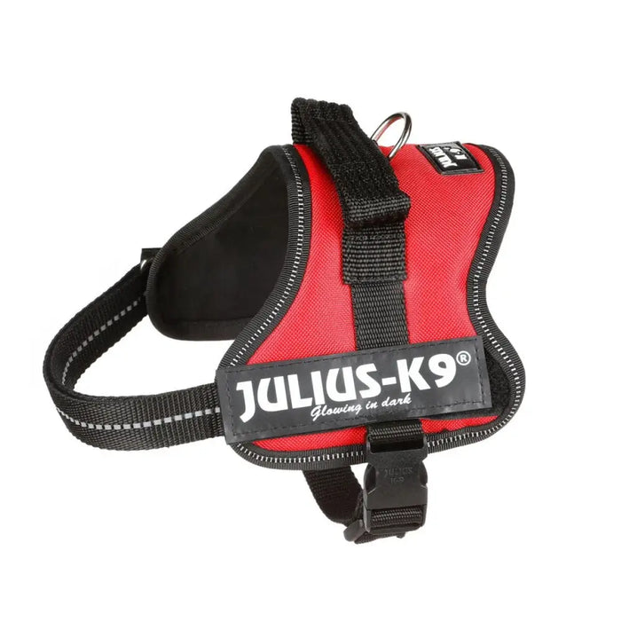 Dog Harness Julius K9 Power Red S - Домашни Животни<<<Дом Градина<<<BigBuy&&&Пътуване и разходки<<<Домашни