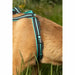 Dog Harness Olympia XS - Домашни Животни<<<Дом Градина<<<BigBuy&&&Пътуване и разходки<<<Домашни Животни<<<Дом