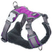 Dog Harness Red Dingo Dingo 30-47 cm 37-52 cm Purple S - Домашни Животни<<<Дом Градина<<<BigBuy&&&Пътуване и