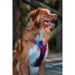 Dog Harness Red Dingo Dingo 30-47 cm 37-52 cm Purple S - Домашни Животни<<<Дом Градина<<<BigBuy&&&Пътуване и
