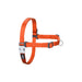 Dog Harness Red Dingo 42-59 cm Orange S/M - Домашни Животни<<<Дом Градина<<<BigBuy&&&Пътуване и разходки<<<Домашни